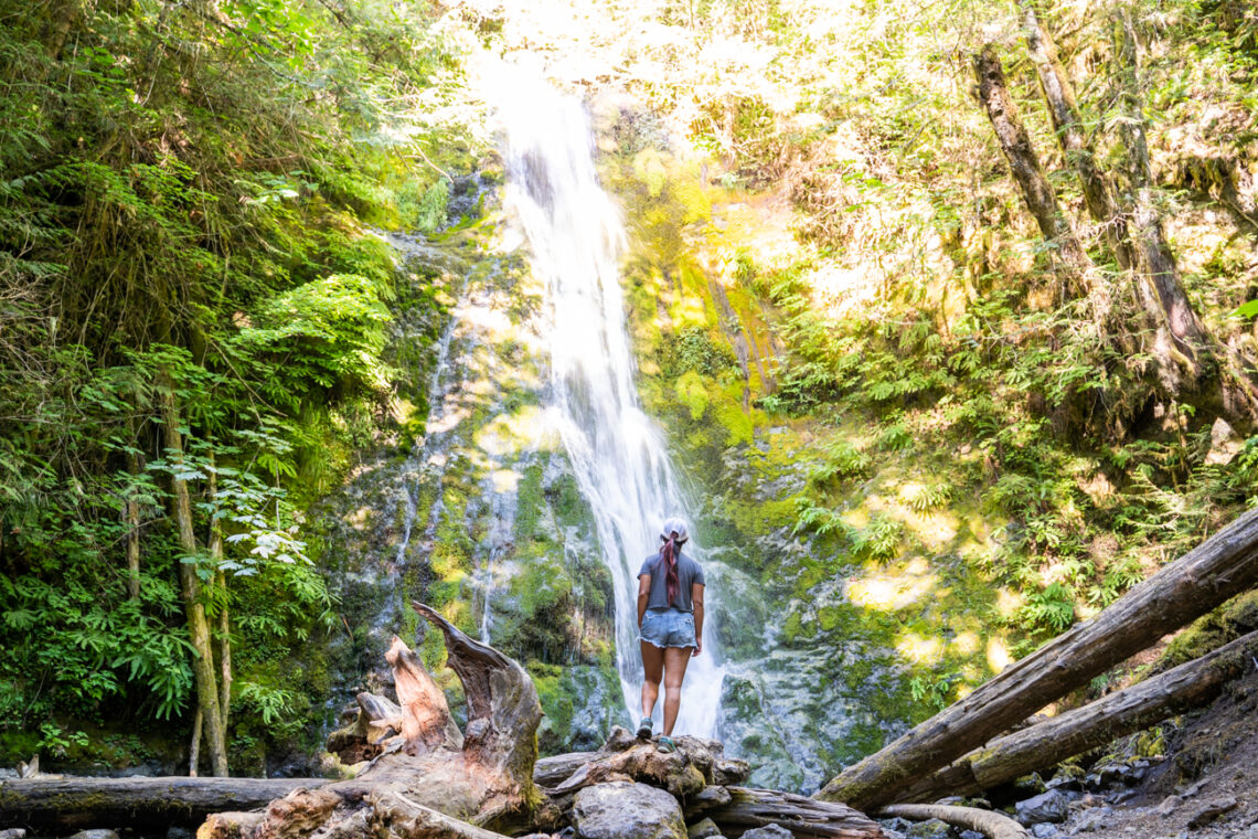 Madison Falls, the Most Accessible Waterfalls in Olympic National Park