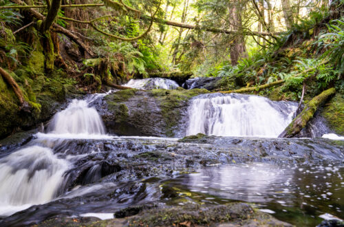 How to Hike Ludlow Falls Interpretive Trail in Port Ludlow, WA