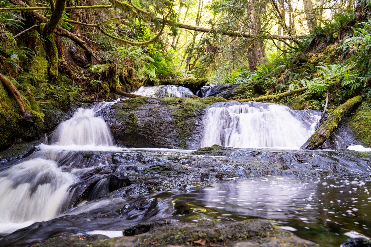 How to Hike Ludlow Falls Interpretive Trail in Port Ludlow, WA