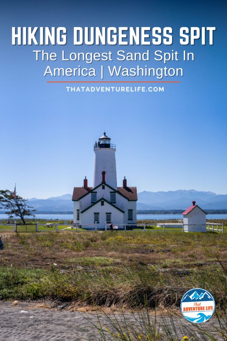 Dungeness Spit Trail, the longest sand spit in North America | Olympic Peninsula, WA Pin 2