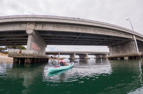 How to Kayak at Liberty Station in San Diego, CA