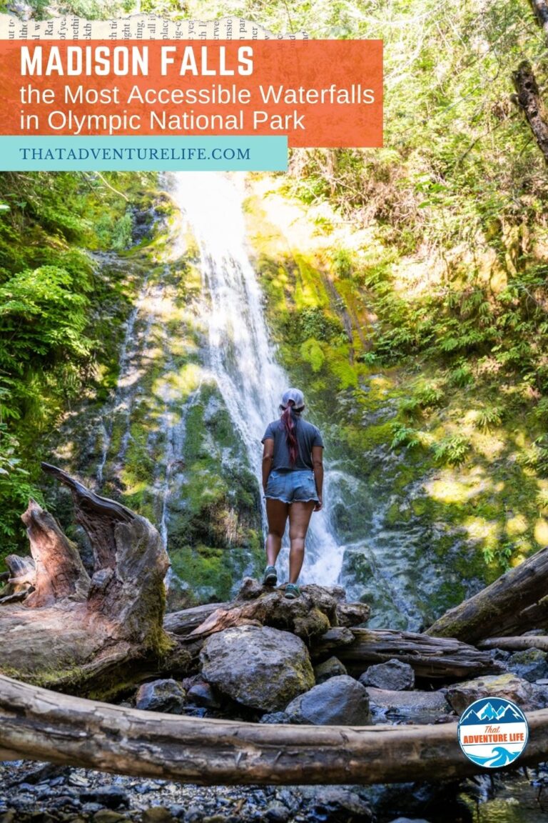 Madison Falls, the Most Accessible Waterfalls in Olympic National Park Pin 1