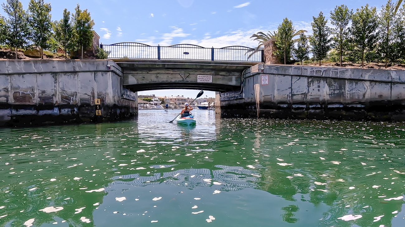 Newport Bay - One of the Best Kayaking Spots in Newport Beach, CA