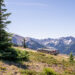 The view on Obstruction Point Road in Hurricane Ridge