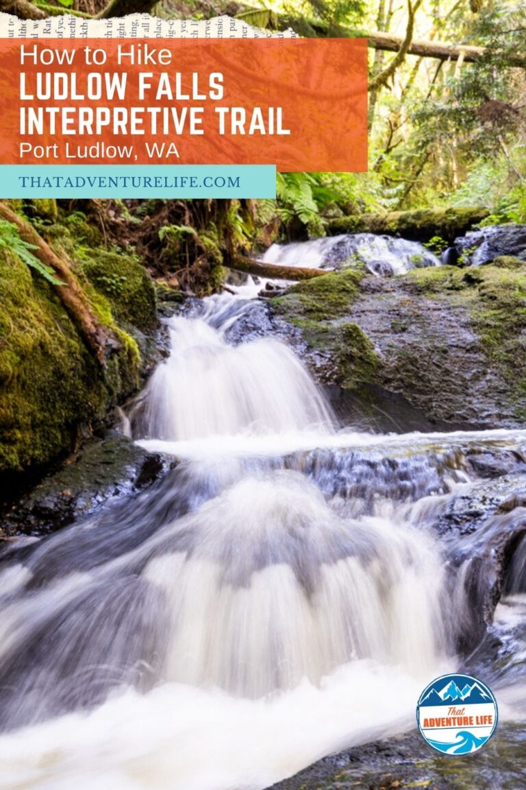 How to Hike Ludlow Falls Interpretive Trail in Port Ludlow, WA Pin 1