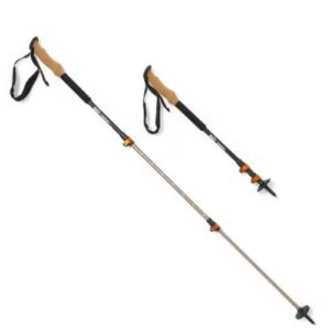 REI Co-op Traverse Trekking Poles - Pair