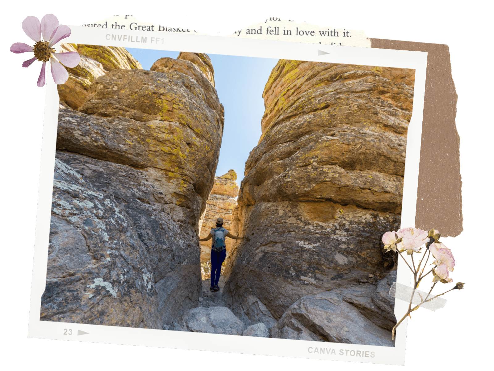 Chiricahua National Monument