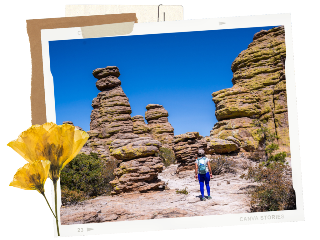 Chiricahua National Monument