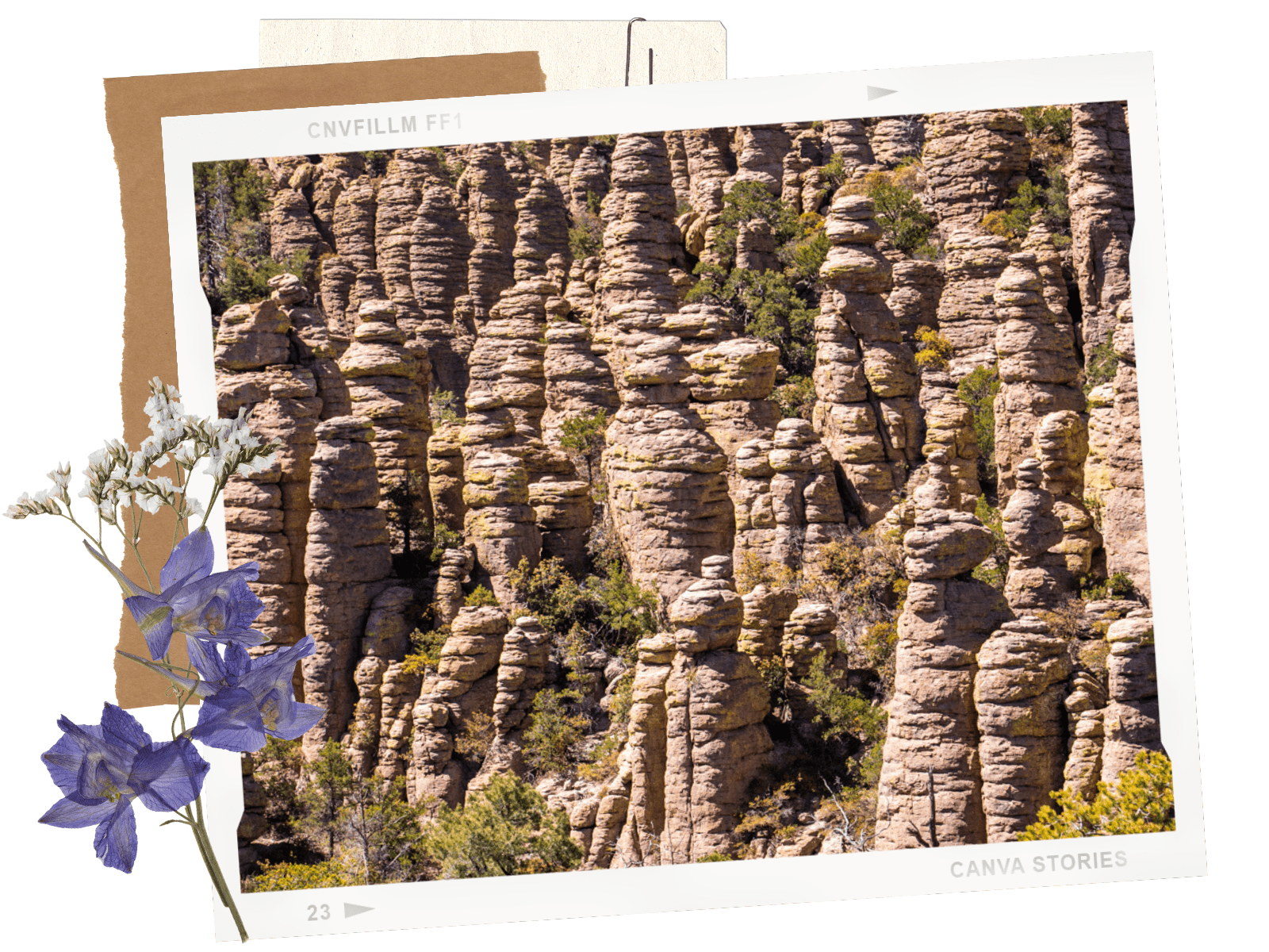 Chiricahua National Monument Hoodoos