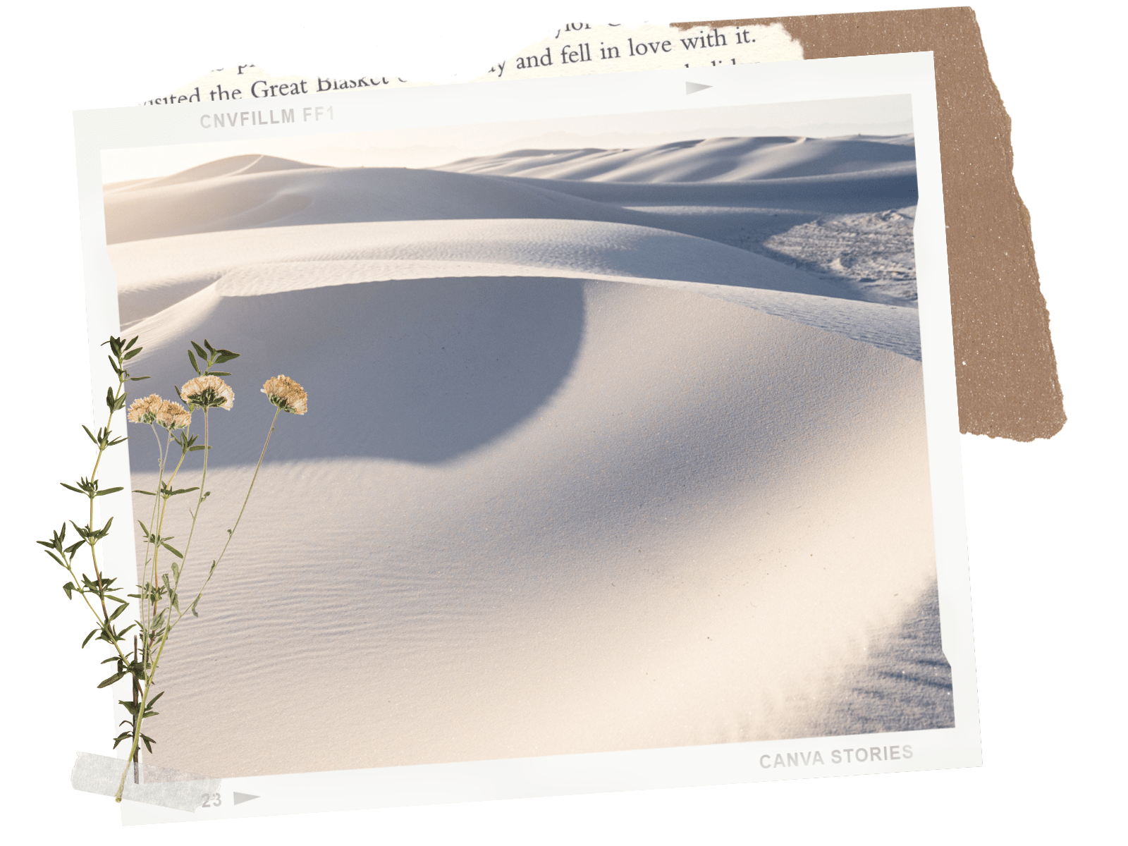 White Sands National Park in New Mexico