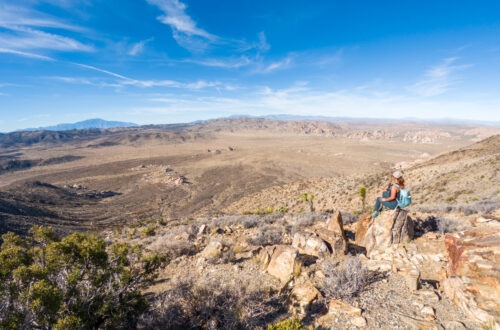 Hiking Ryan Mountain, the Most Popular Trail in Joshua Tree National Park