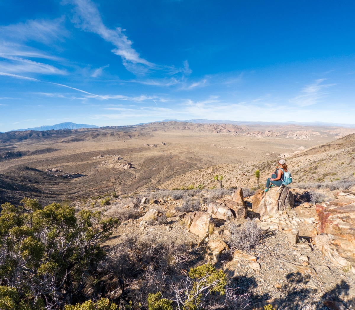 Hiking Ryan Mountain, the Most Popular Trail in Joshua Tree National Park