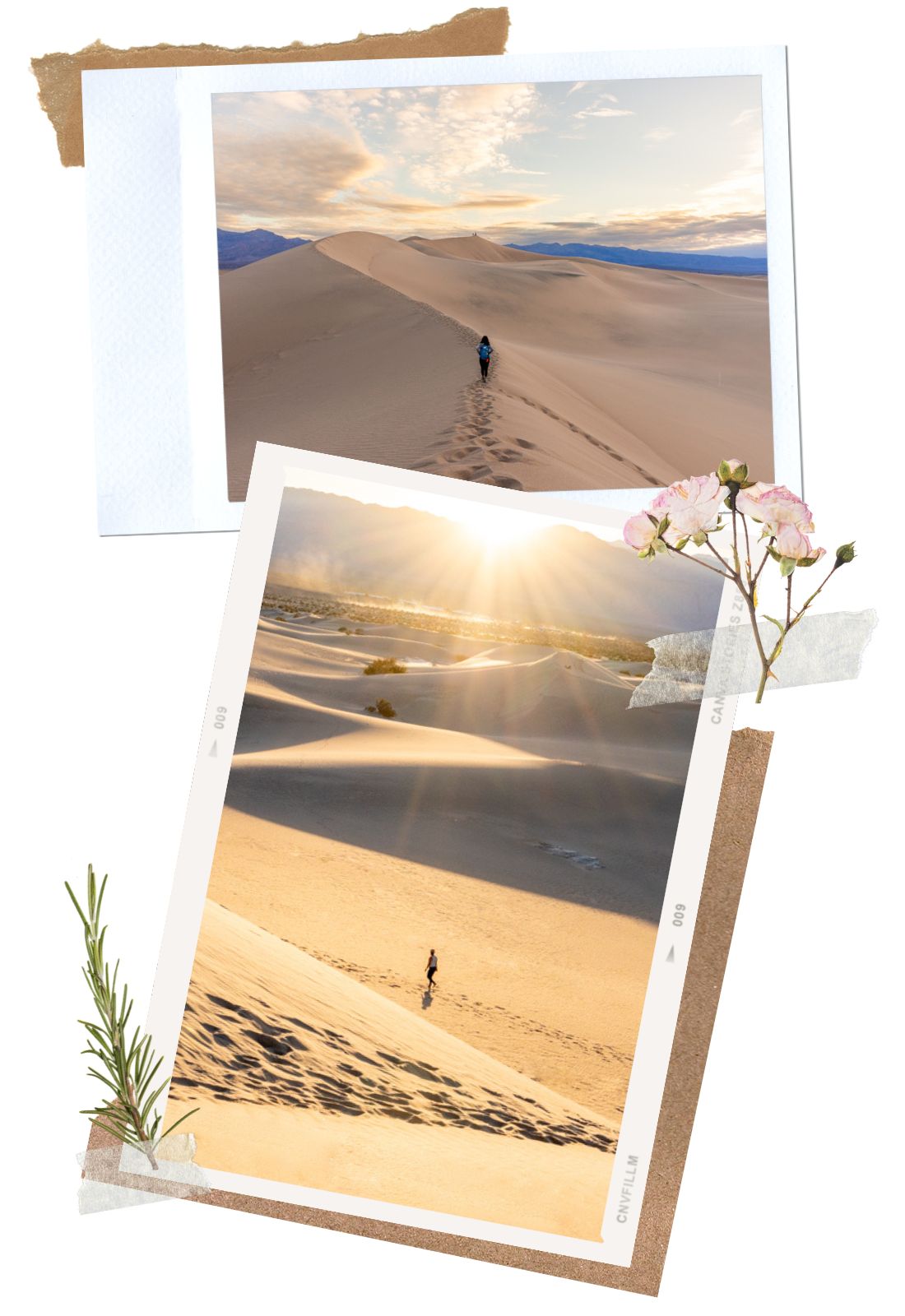 Hiking - Mesquite Flat Sand Dunes in Death Valley National Park