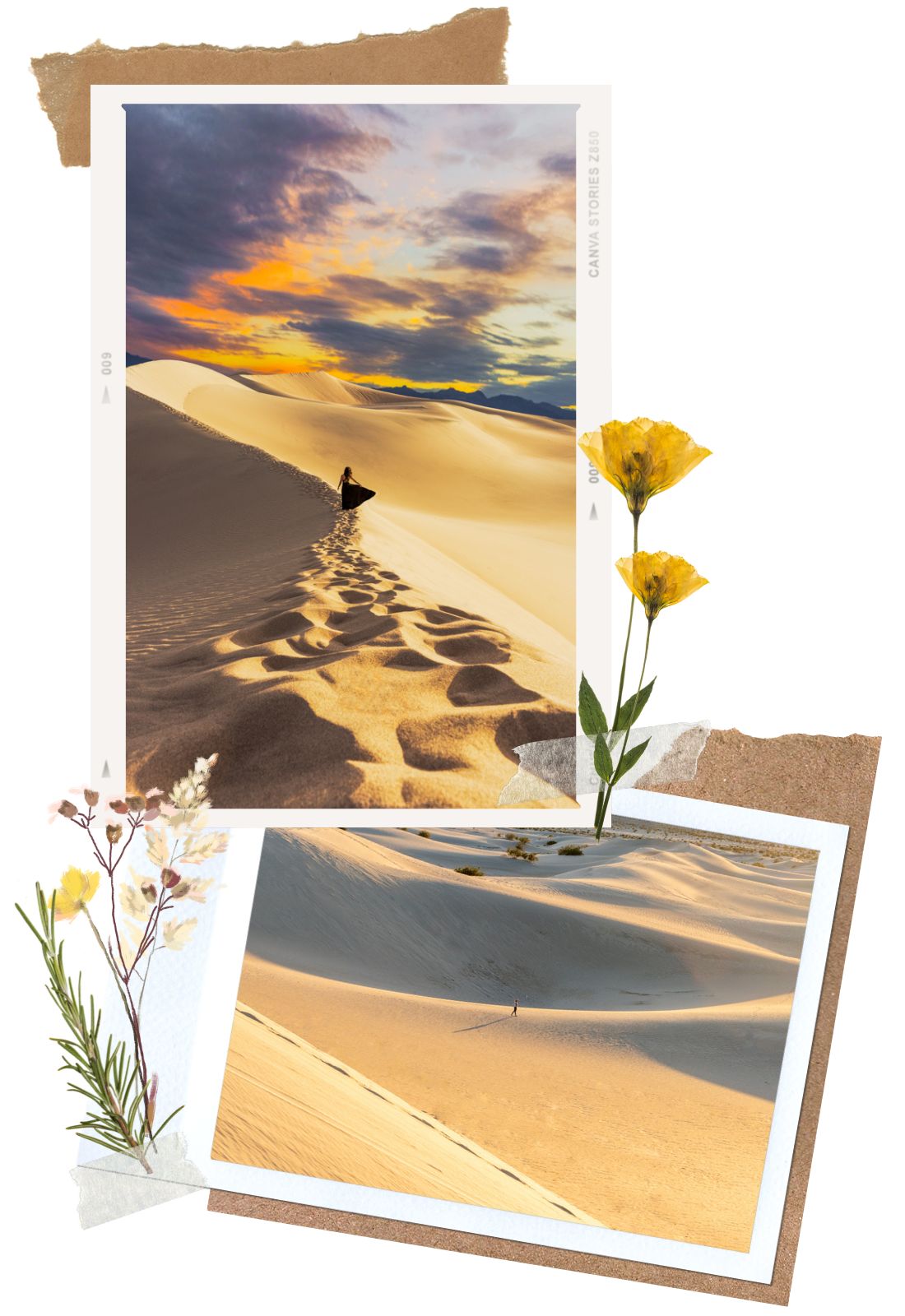 Photography - Mesquite Flat Sand Dunes in Death Valley National Park