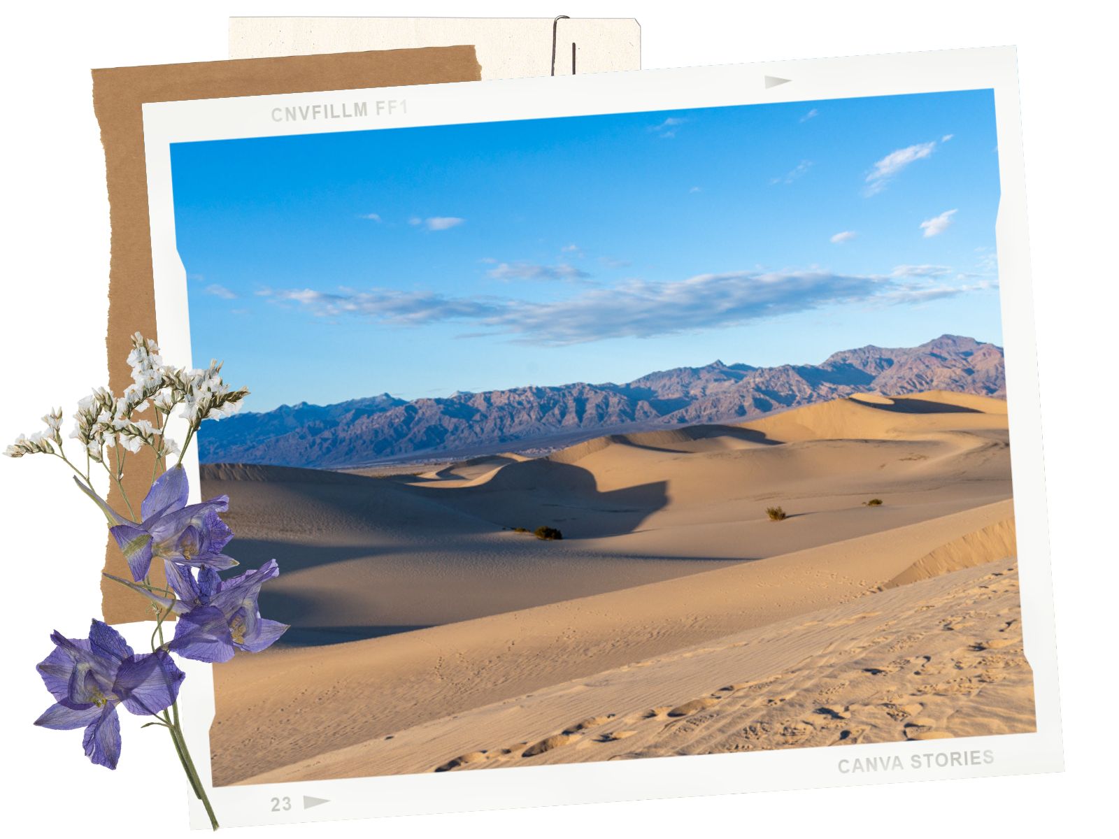 What You Need to Know 1 - Mesquite Flat Sand Dunes in Death Valley National Park