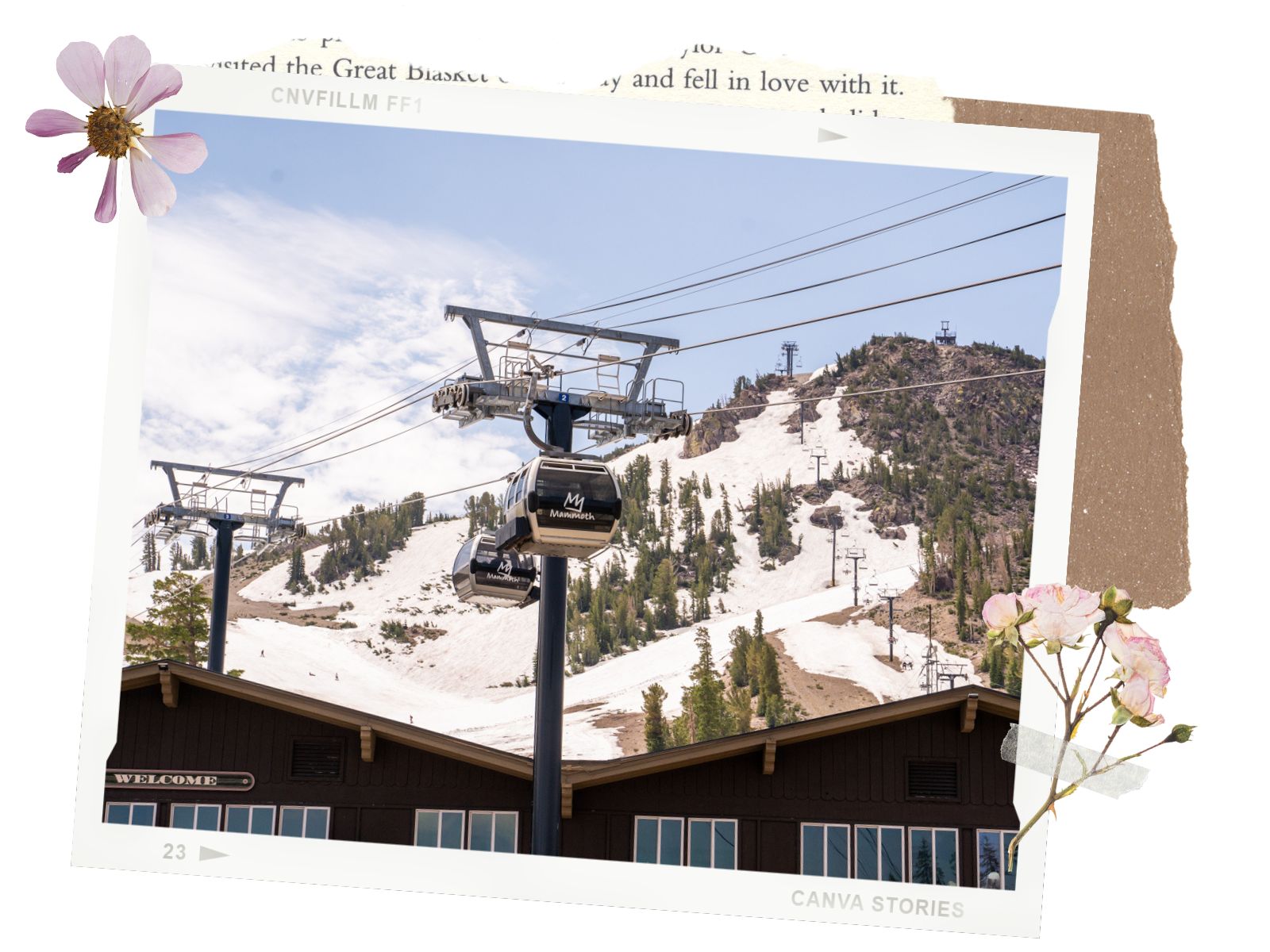 Gondola Ride - Best Things to Do in Mammoth in the Summer