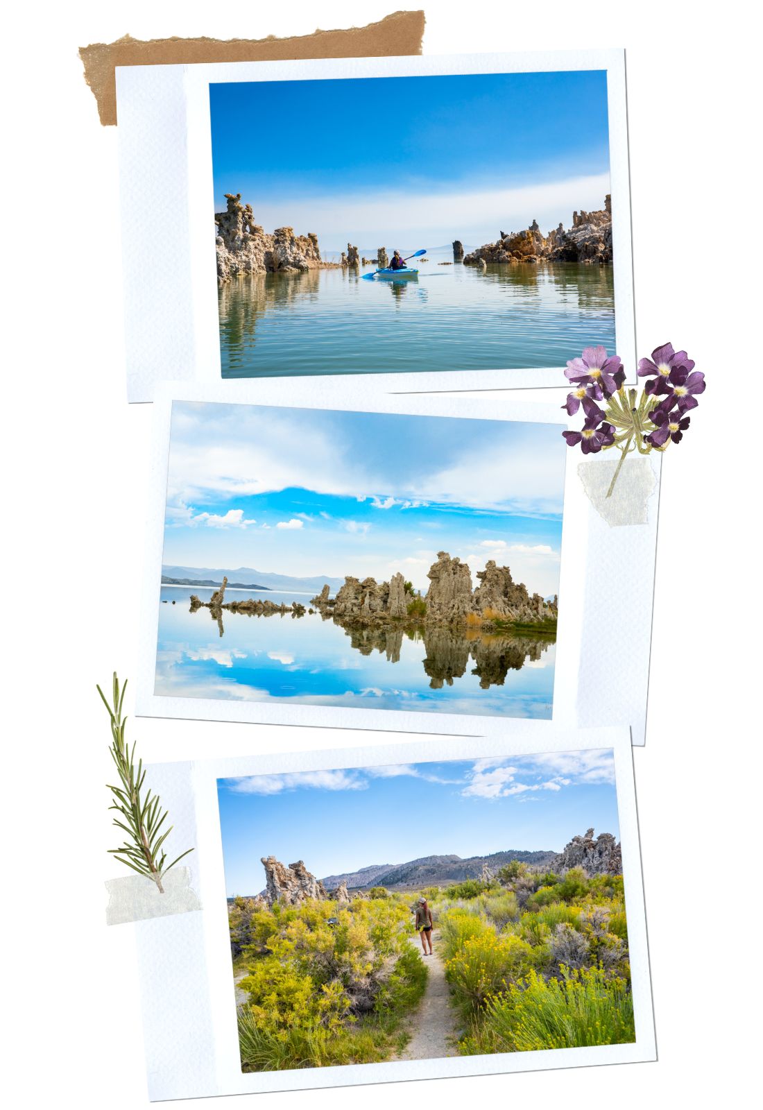 Mono Lake - - Best Things to Do in Mammoth in the Summer