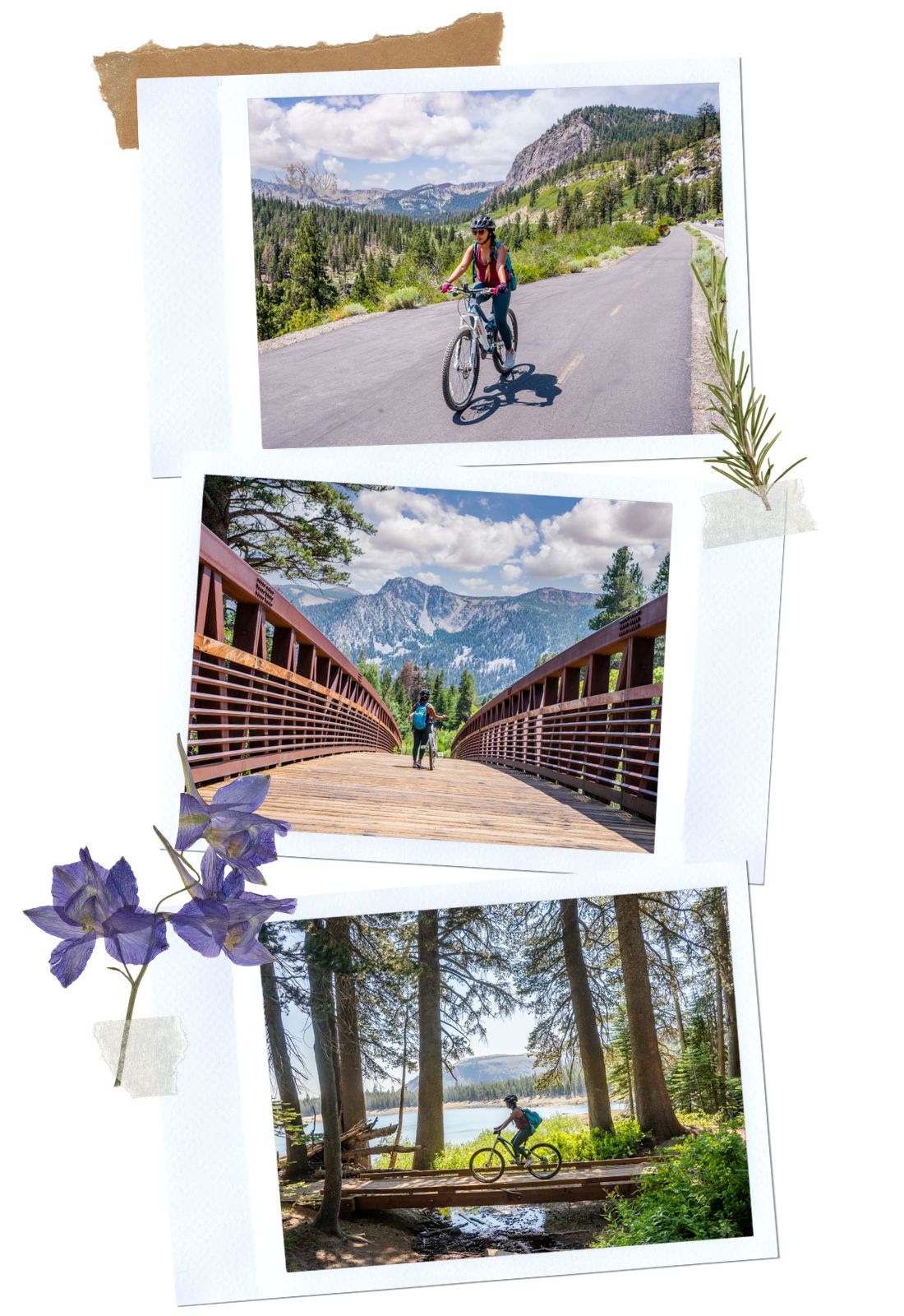 Mountain Biking - Best Things to Do in Mammoth in the Summer