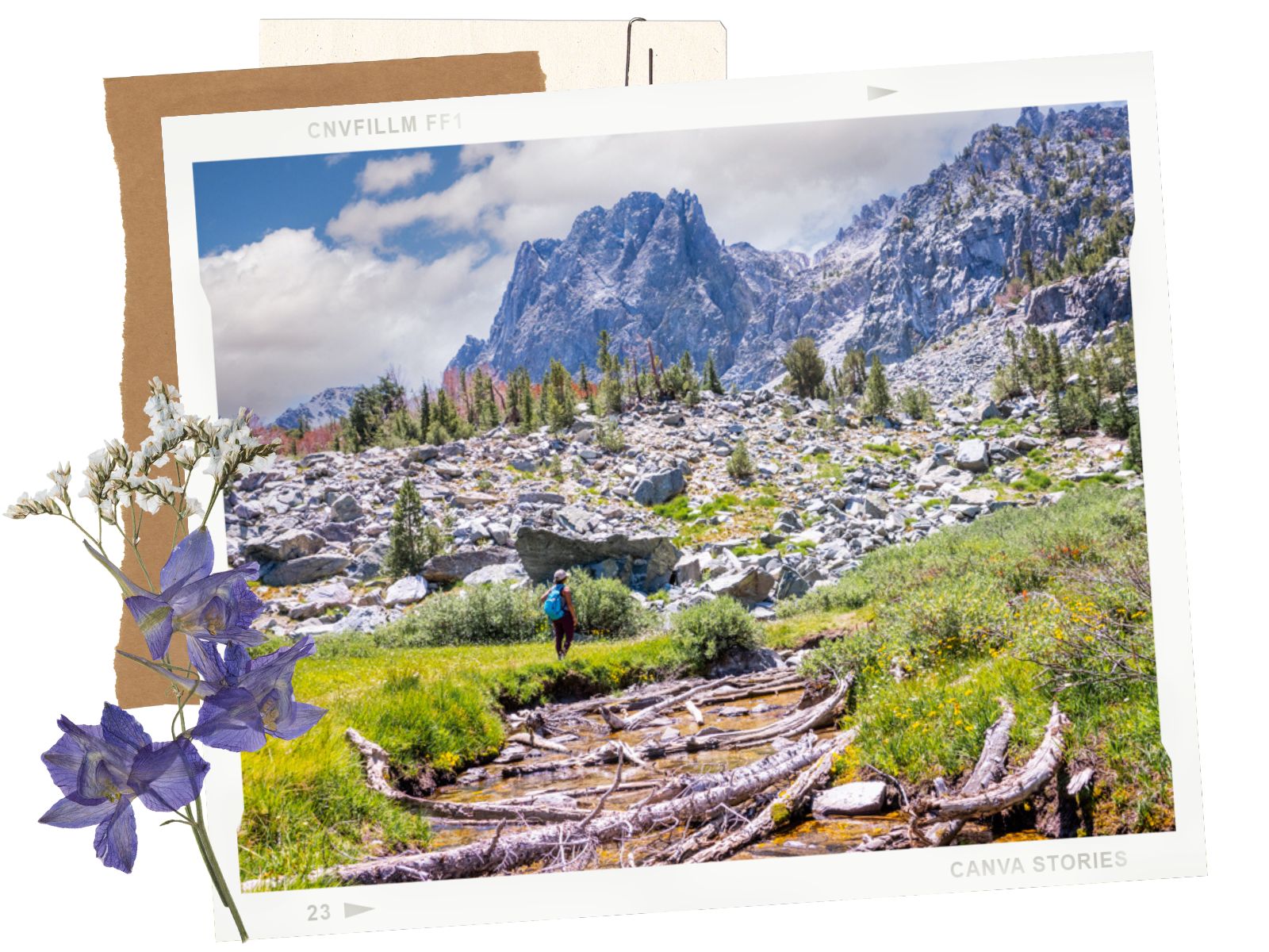 Sky Meadows - Best Things to Do in Mammoth in the Summer