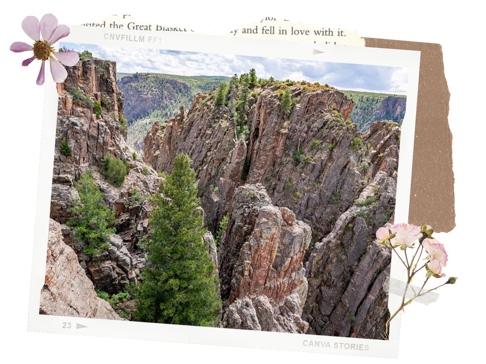 Important Things to know in North Rim Scenic Road of Black Canyon of Gunnison National Park