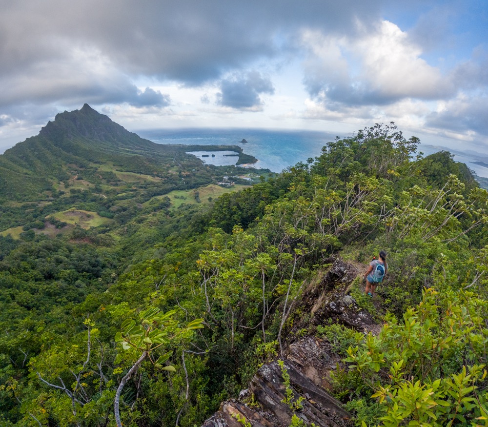 Pu’u Ohulehule (Southeast Ridge) on Oahua, Hawaii.