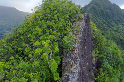 Most Dangerous Hike in Oahu! Pride Rock to Pu’u Ohulehule (Southeast Ridge)