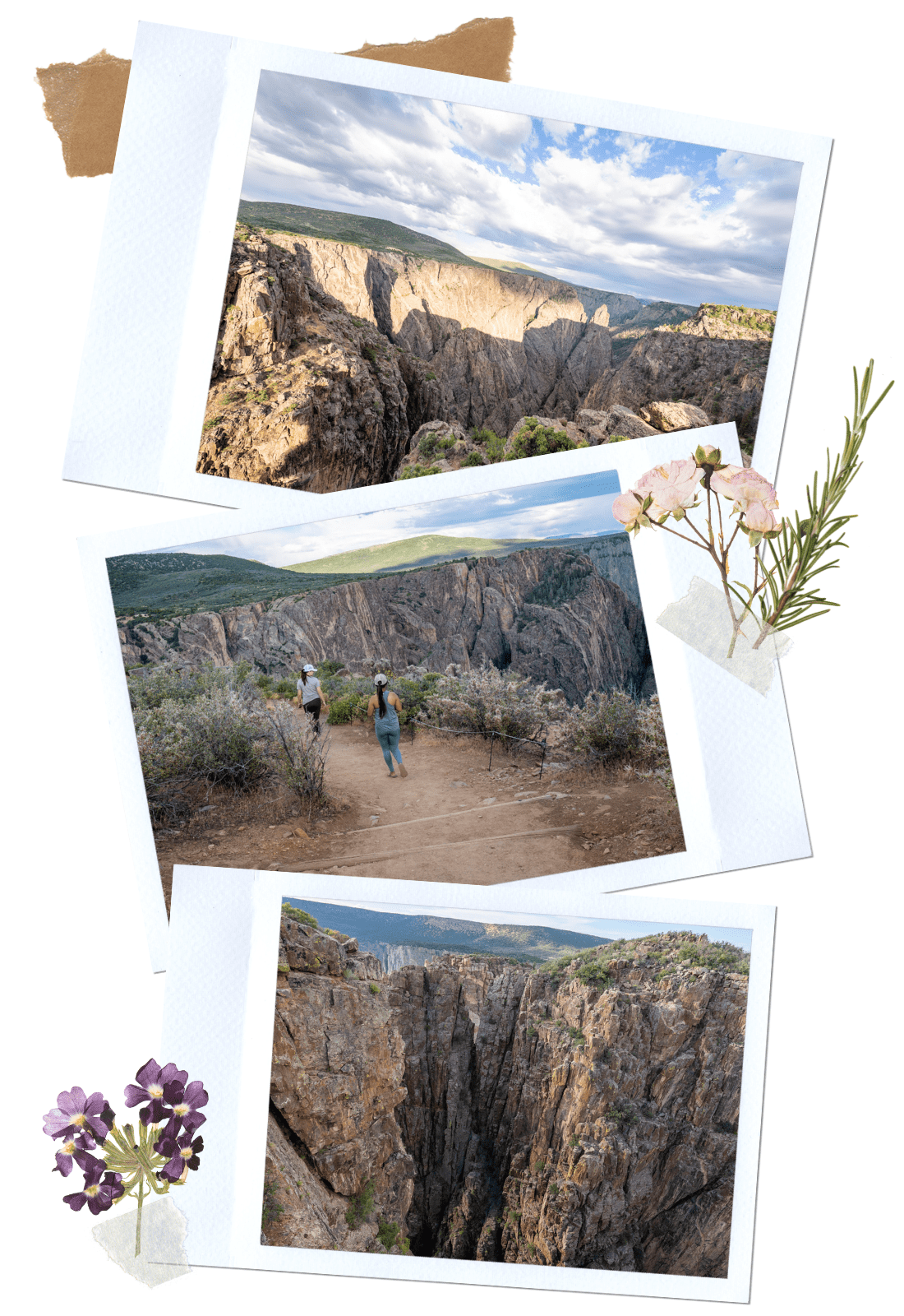 Cross Fissure - South Rim Road, the Best Way to Visit Black Canyon of Gunnison NP