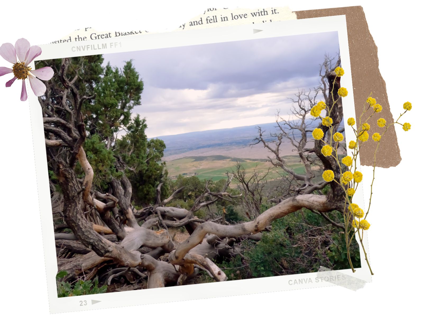 High Point - South Rim Road, the Best Way to Visit Black Canyon of Gunnison NP