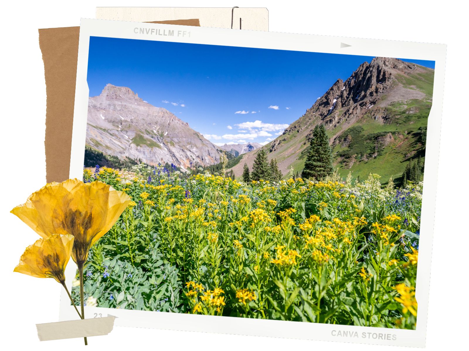 Best Time to Go -Yankee Boy Basin Road, a Beautiful Off-Road Trail in Ouray, Colorado