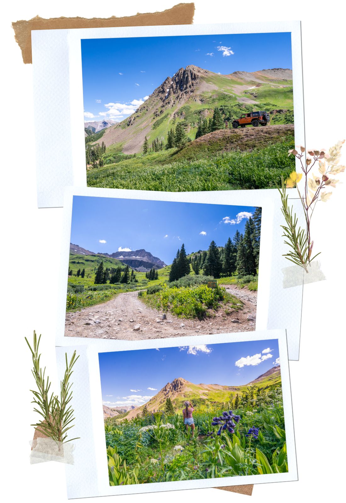 From Sneffels to Wrights - Yankee Boy Basin Road, a Beautiful Off-Road Trail in Ouray, Colorado