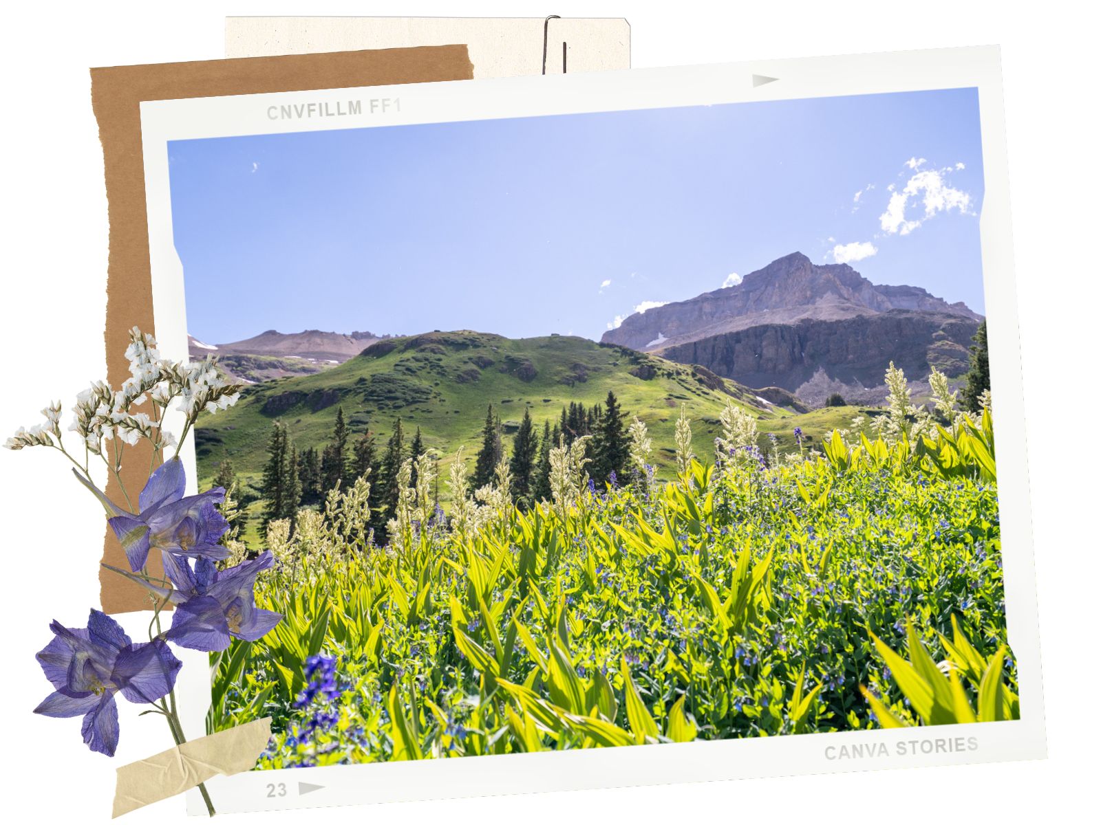 Tips - Yankee Boy Basin Road, a Beautiful Off-Road Trail in Ouray, Colorado