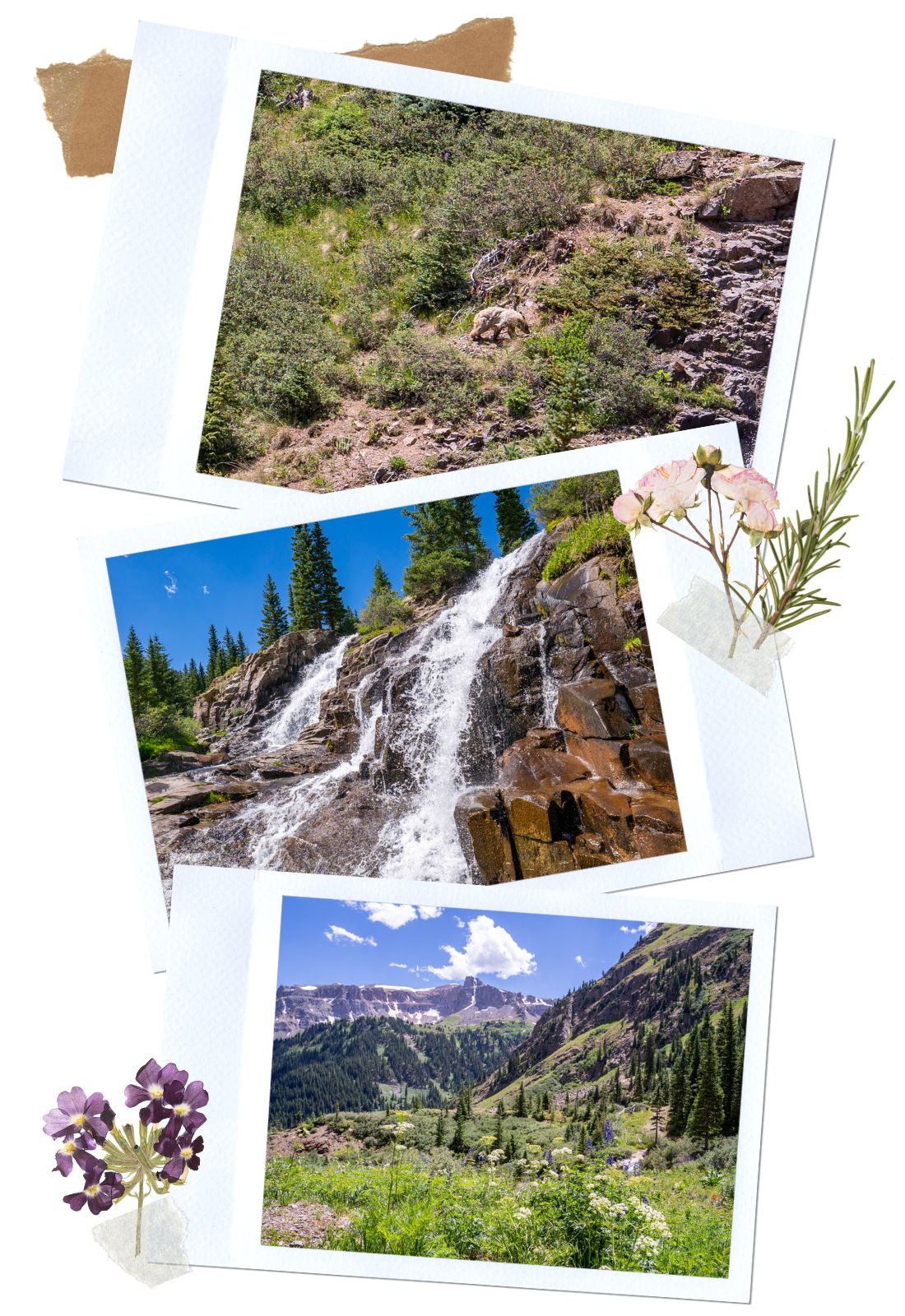 Twin Falls - Yankee Boy Basin Road, a Beautiful Off-Road Trail in Ouray, Colorado