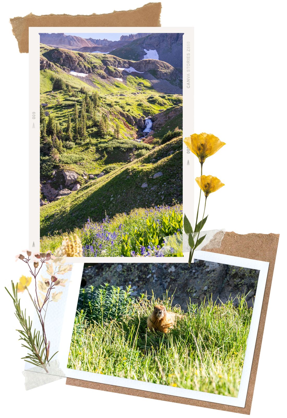 Wrights Trail - Yankee Boy Basin Road, a Beautiful Off-Road Trail in Ouray, Colorado