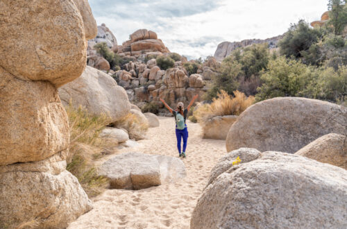 How to Hike to Willow Hole in Joshua Tree National Park