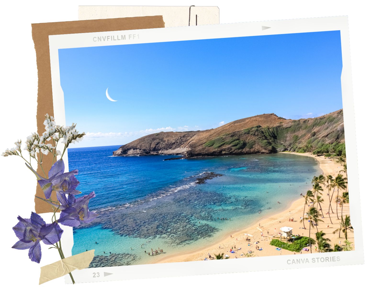 Getting to Hanauma Bay in Oahu, Hawaii