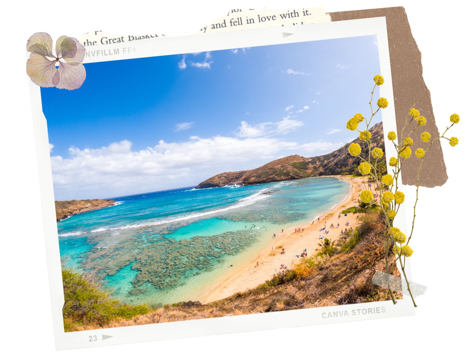 What to bring to Hanauma Bay in Oahu, Hawaii