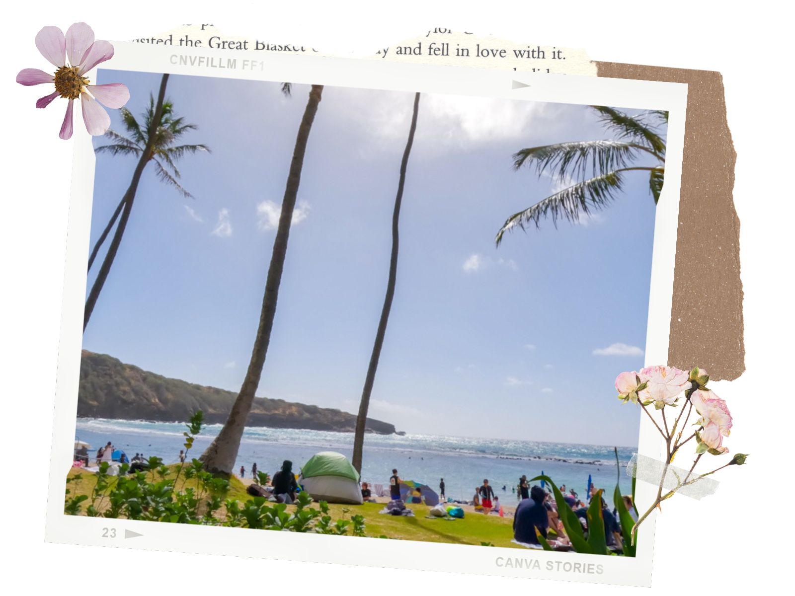 Parking at Hanauma Bay in Oahu, Hawaii