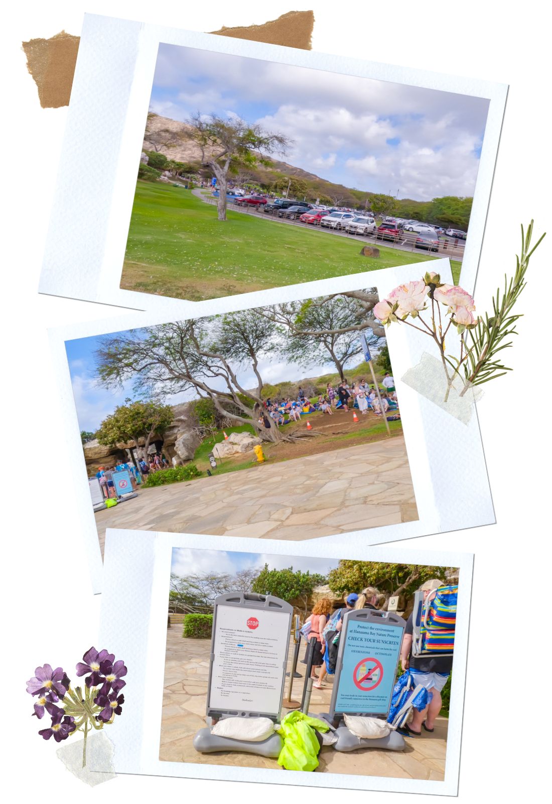 Parking and Admission at Hanauma Bay in Oahu, Hawaii