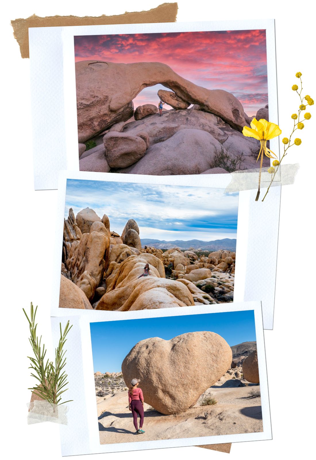 Arch Rock and Heart Rock Trail - 8 best hikes in Joshua Tree National Park, California