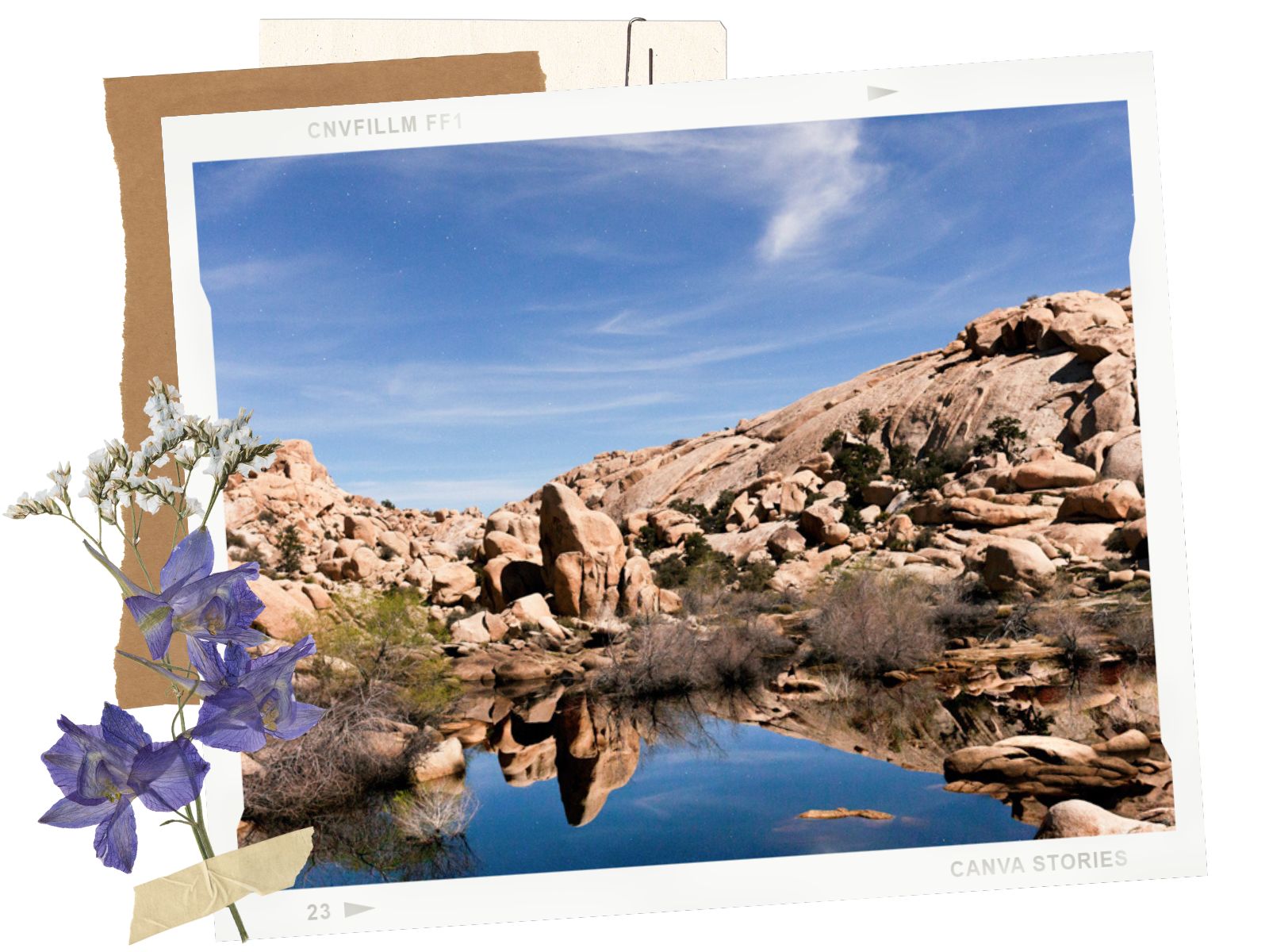 Barker Dam Trail - 8 best hikes in Joshua Tree National Park, California