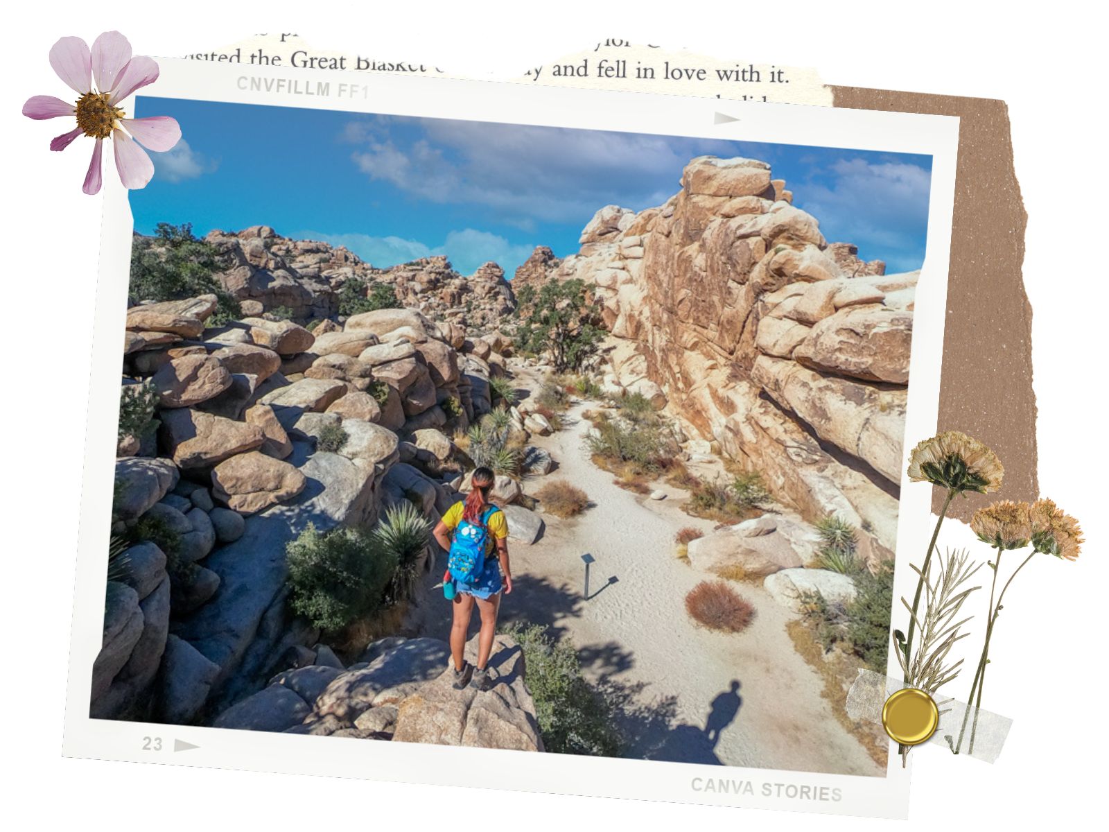 Hidden Valley Trail - 8 best hikes in Joshua Tree National Park, California