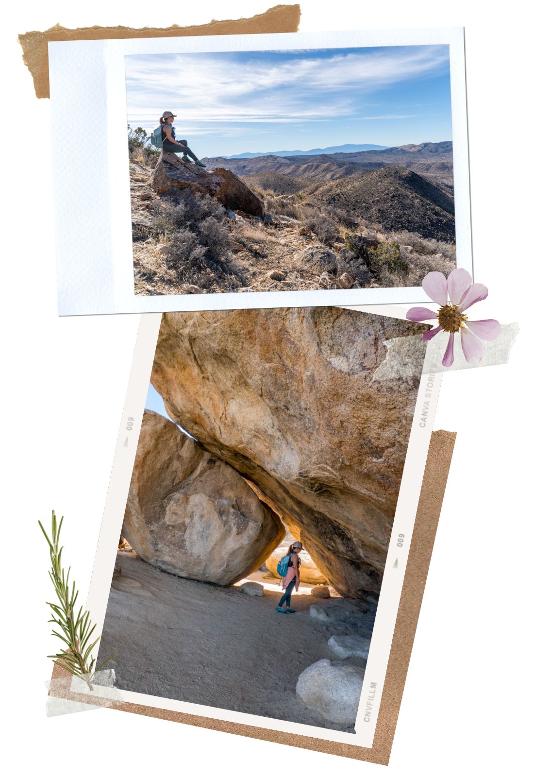 Ryan Mountain Trail - 8 best hikes in Joshua Tree National Park, California