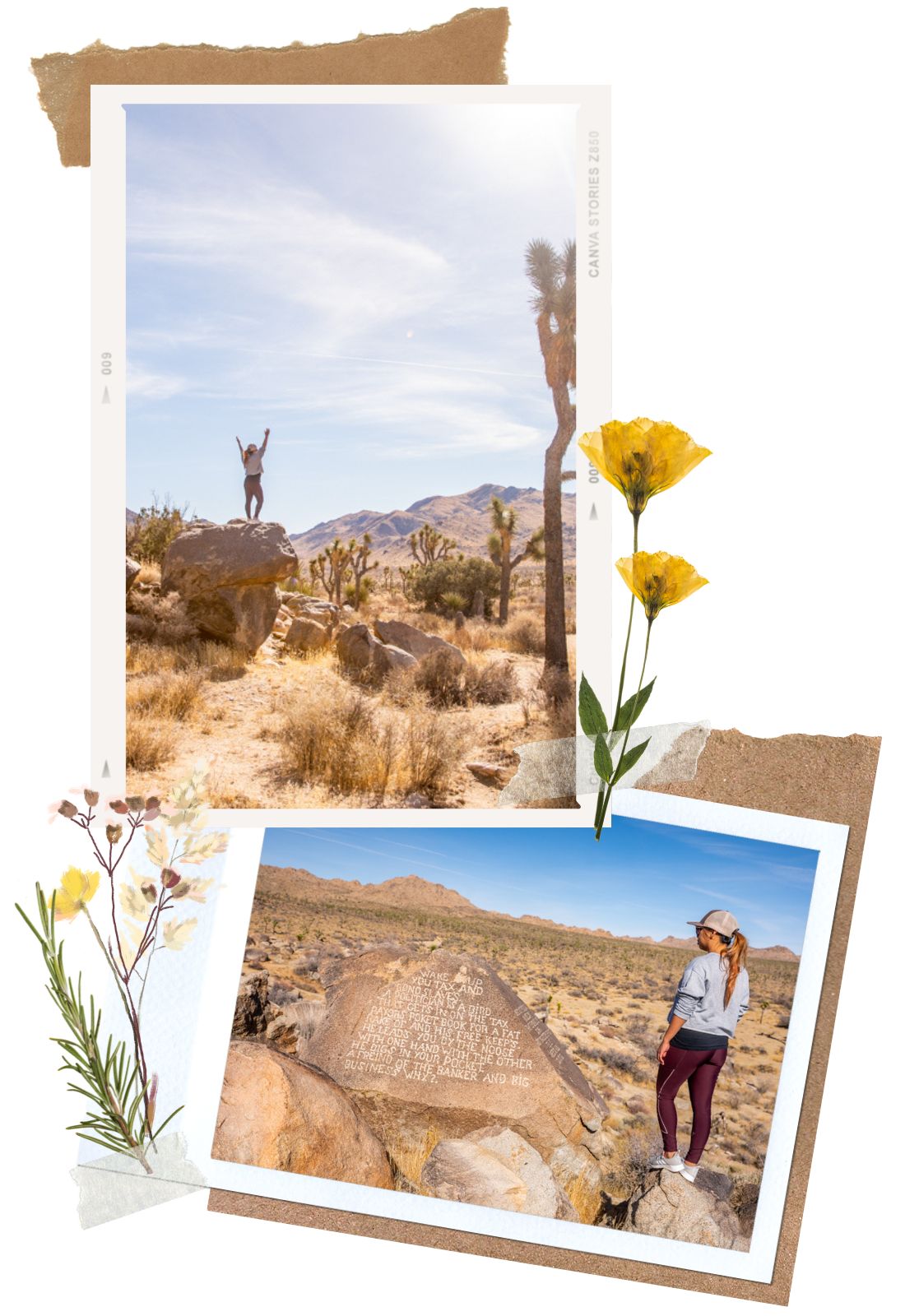 Samuelsons Rocks Trail - 8 best hikes in Joshua Tree National Park, California