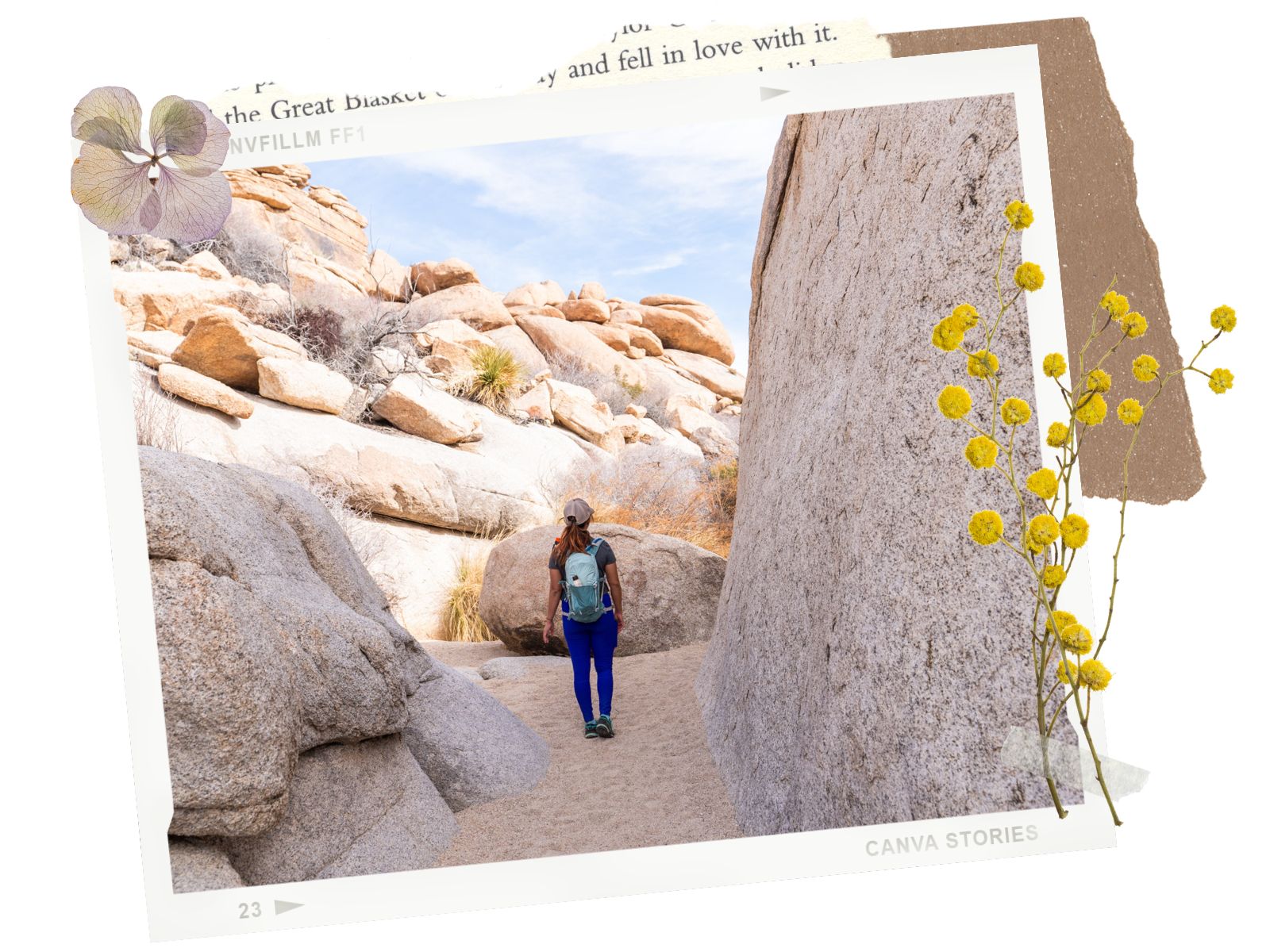 Willow Hole Trail - 8 best hikes in Joshua Tree National Park, California