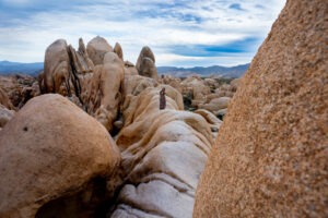 8 best hikes in Joshua Tree National Park, California