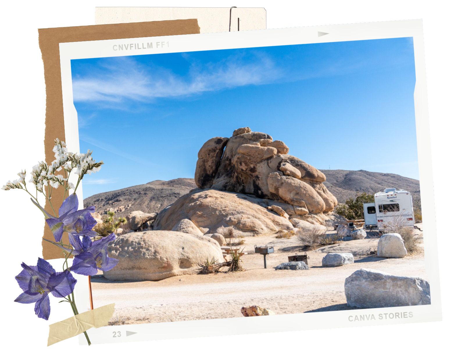 Camping - 3 Day Itinerary for Joshua Tree National Park