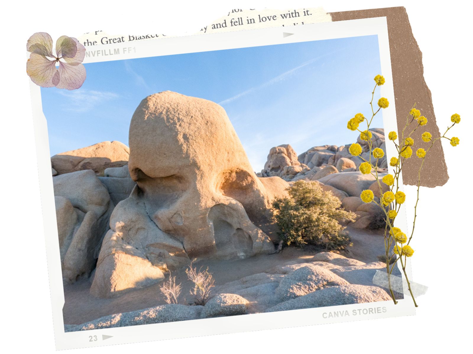 Skull Rock - 3 Day Itinerary for Joshua Tree National Park