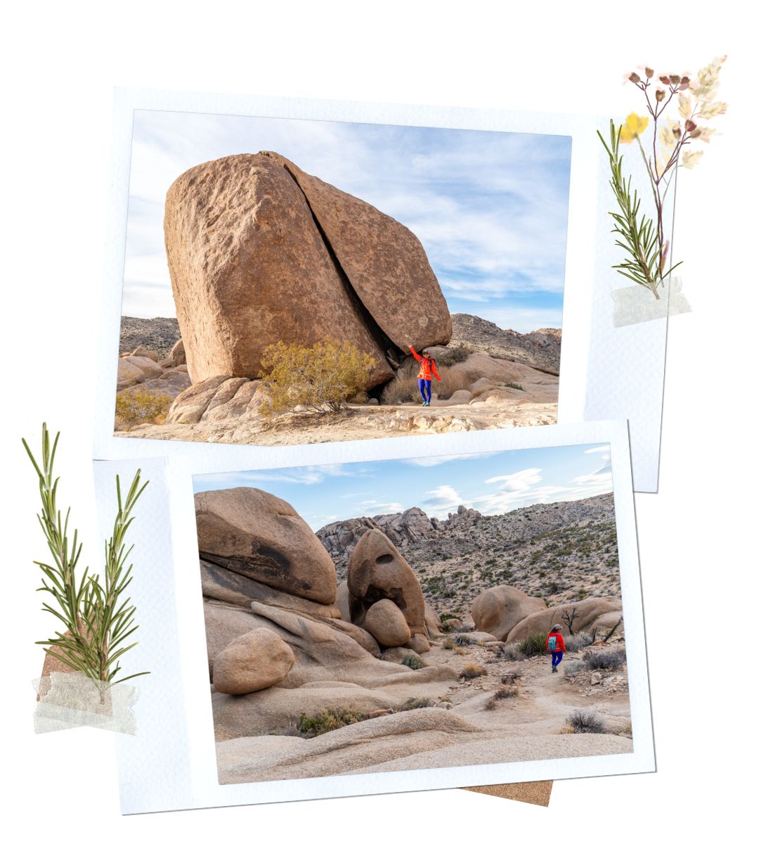 Split Rock - 3 Day Itinerary for Joshua Tree National Park