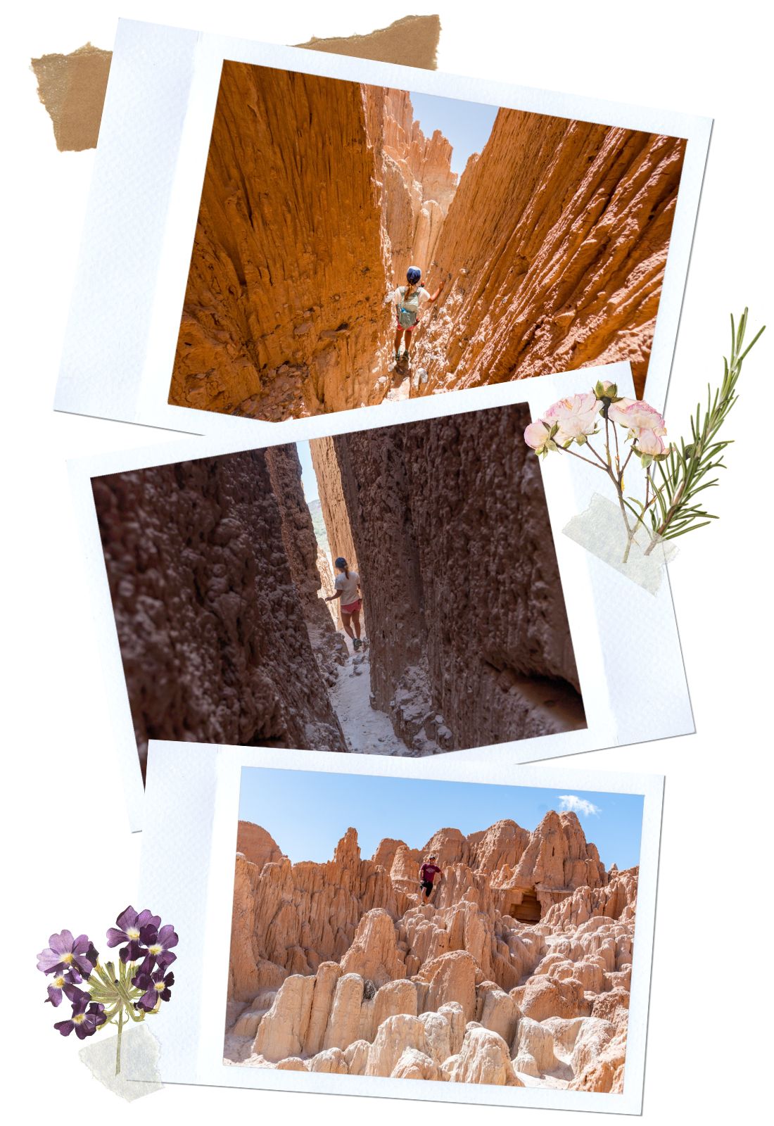 Slot Canyons | Everything You Need to Know About Cathedral Gorge: Complete Guide