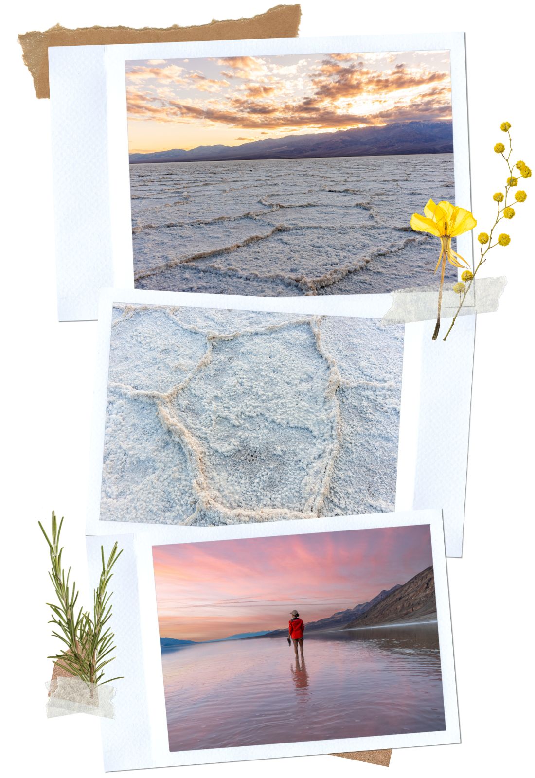 Badwater Basin - Things to do in Death Valley National Park